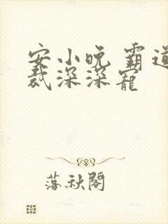 安小晚 霸道总裁深深宠