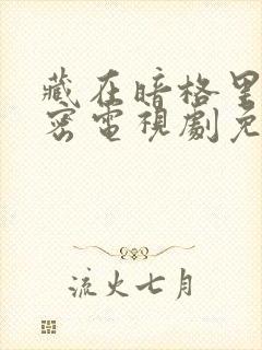 藏在暗格里的秘密电视剧免费看封面