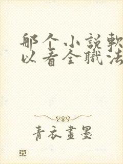 那个小说软件可以看全职法师封面