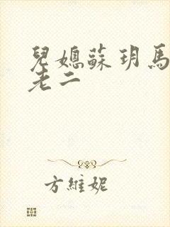 儿媳苏玥马强马老二封面