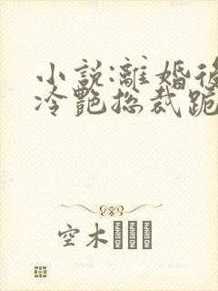 小说:离婚后,冷艳总裁跪求复婚