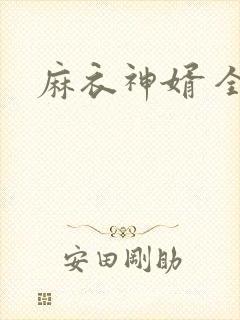 麻衣神婿 全文