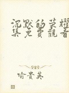 沉默的荣耀22集免费观看