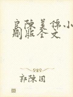 良陈美锦小说未删版全文