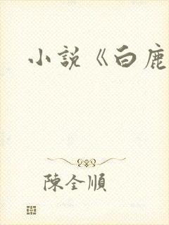 小说《白鹿原》
