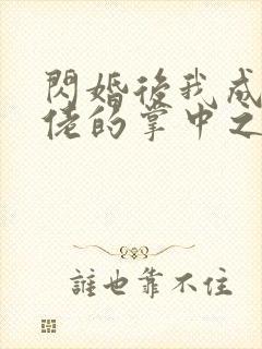 闪婚后我成了大佬的掌中之物无删减