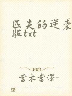 匹夫的逆袭精校版txt