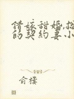错嫁甜婚,总裁的契约妻小说封面