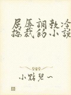屈辱调教冷艳女总裁的小说