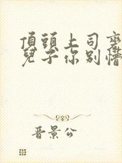 顶头上司变后妈儿子你别懵小说