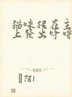猫咪爬在主人身上发出呼噜呼噜声音