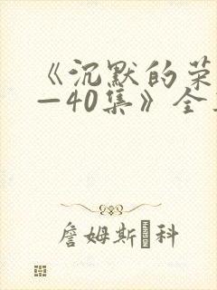 《沉默的荣耀1—40集》全集免费观看