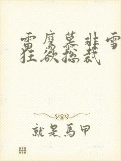 雷鹰慕非雪小说狂欲总裁封面