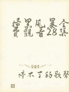 扫黑风暴全集免费观看28集