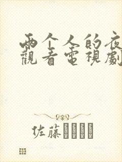 两个人的夜在线观看电视剧免费高清