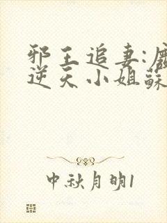 邪王追妻:废材逆天小姐苏落南宫流云