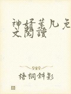 神婿叶凡免费全文阅读封面