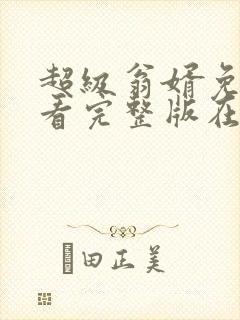 超级翁婿免费观看完整版在线全集