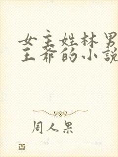 女主姓林男主是王爷的小说