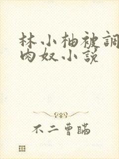 林小柚被调教成肉奴小说