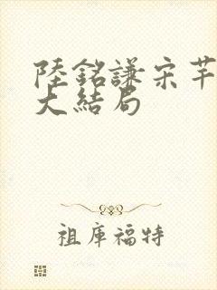 陆铭谦宋芊惠的大结局