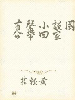 有声小说国民老公带回家