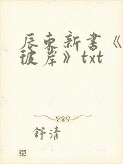 辰东新书《深空彼岸》txt
