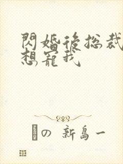 闪婚后总裁天天想宠我