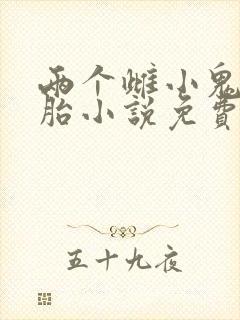 两个雌小鬼双胞胎小说免费阅读