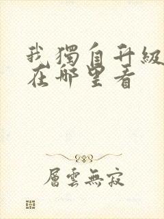 我独自升级漫画在哪里看