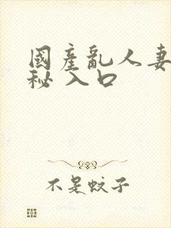 国产乱人妻精品秘 入口