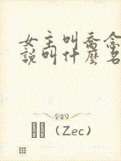 女主叫乔念的小说叫什么名字封面