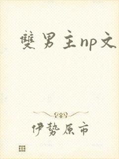 双男主np文h