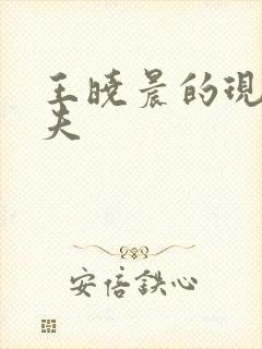 王晓晨的现任丈夫封面