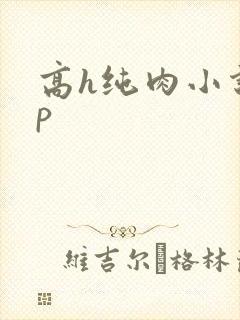 高h纯肉小说np