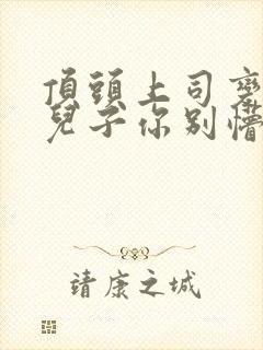 顶头上司变后妈儿子你别懵在线