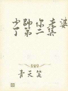 少帅你老婆又跑了第二集