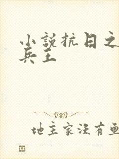 小说抗日之特战兵王