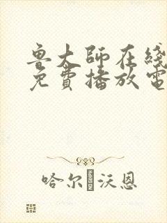 鲁大师在线观看免费播放电视剧软件