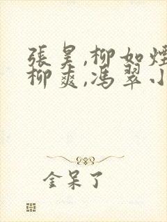 张昊,柳如烟,柳爽,冯翠小说