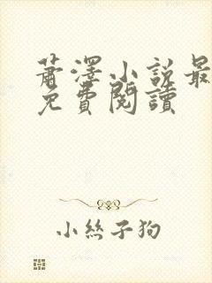 萧泽小说最新版免费阅读
