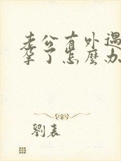 老公有外遇还怀孕了怎么办