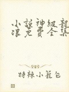 小说神级龙卫沈浪免费全集