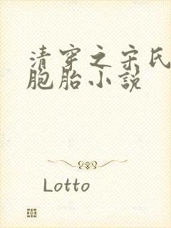 清穿之宋氏生三胞胎小说