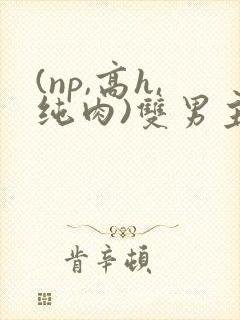 (np,高h,纯肉)双男主