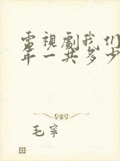电视剧我们这十年一共多少集