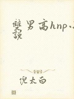 双男高hnp小说