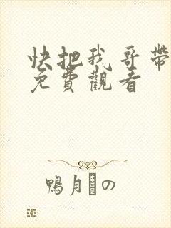 快把我哥带走在免费观看
