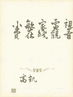 小敏家电视剧免费在线观看