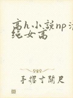 高h小说np清纯女高